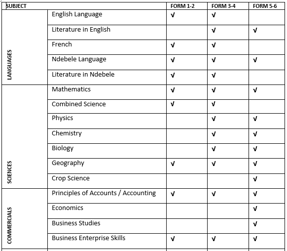 curriculumn