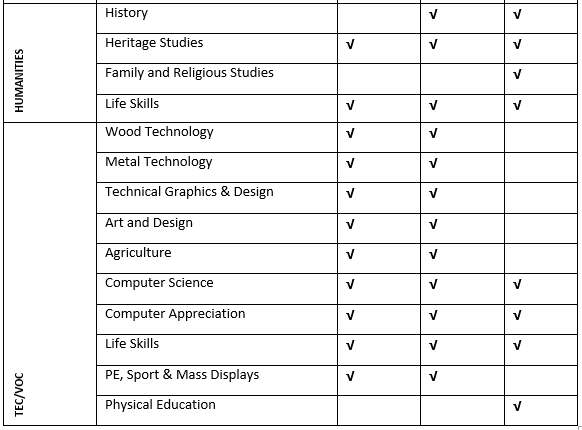 curriculumn1